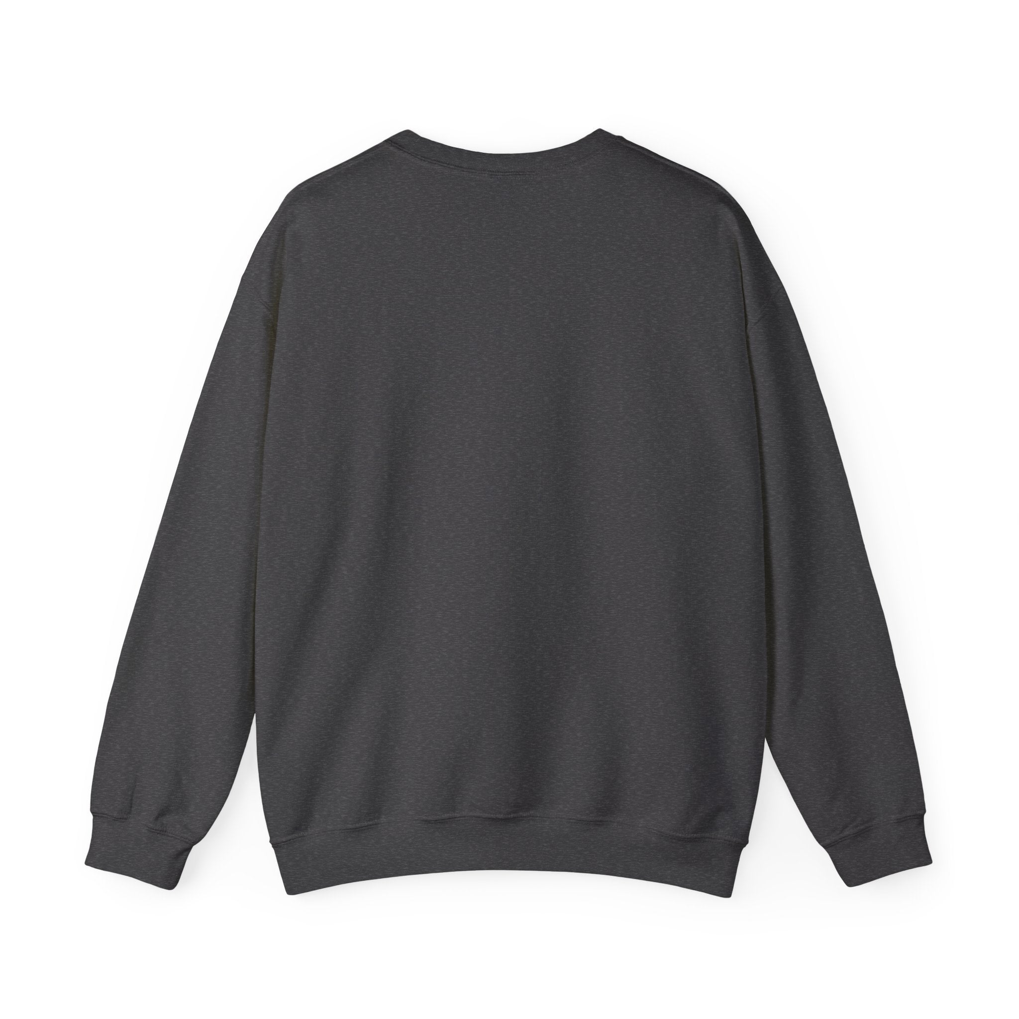 Crewneck Sweatshirt — "Motivation Is a Universal Language" Inspirational Pullover