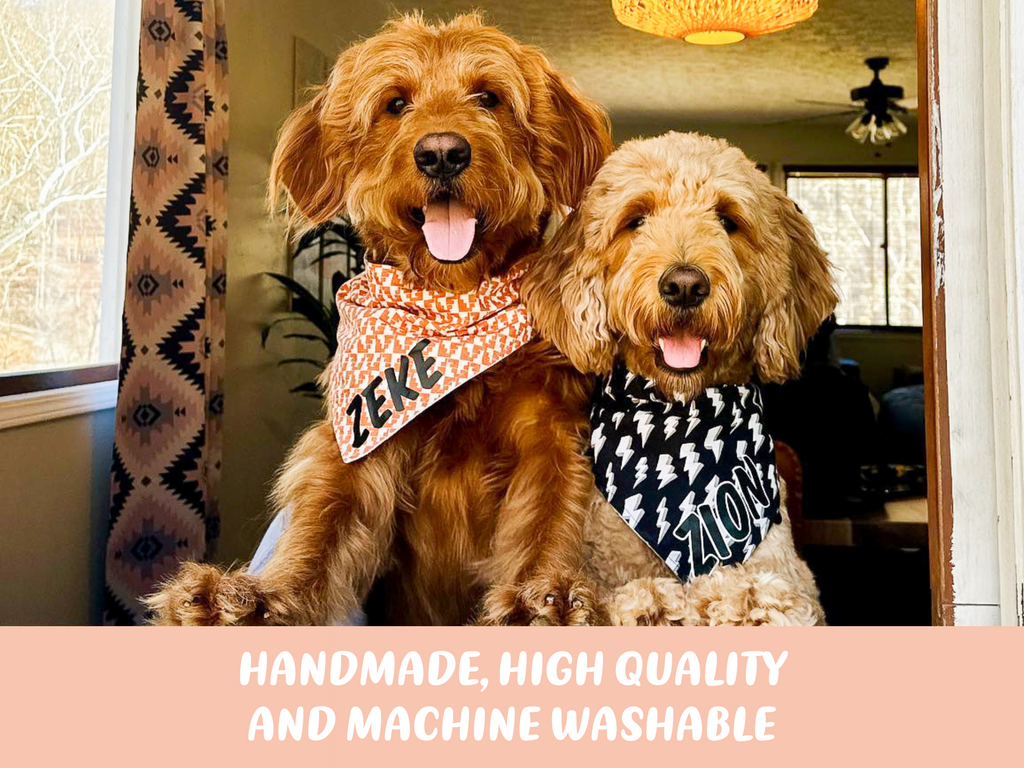 "Kiss Me" Dog Bandana