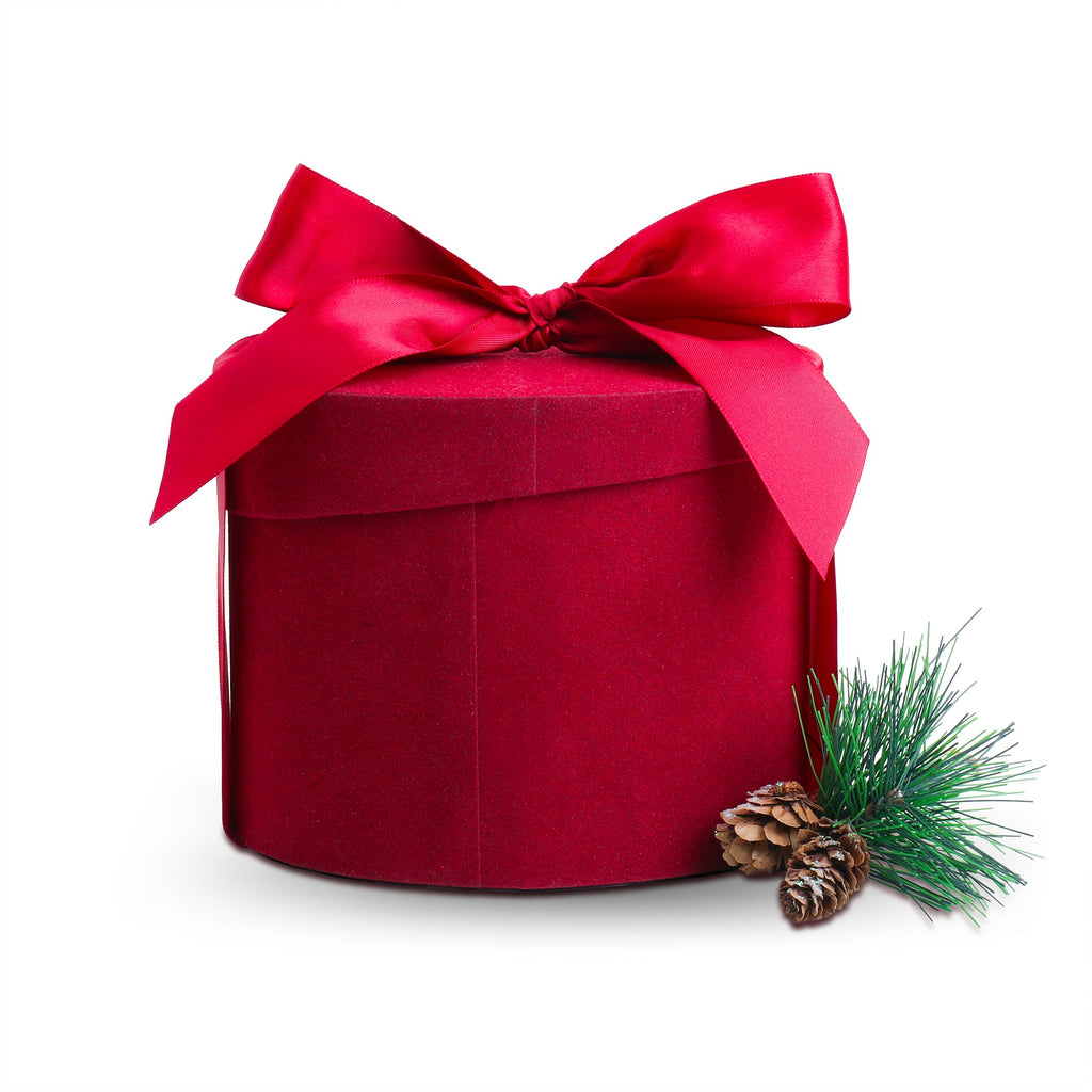 Cashews Holiday Gift Tin