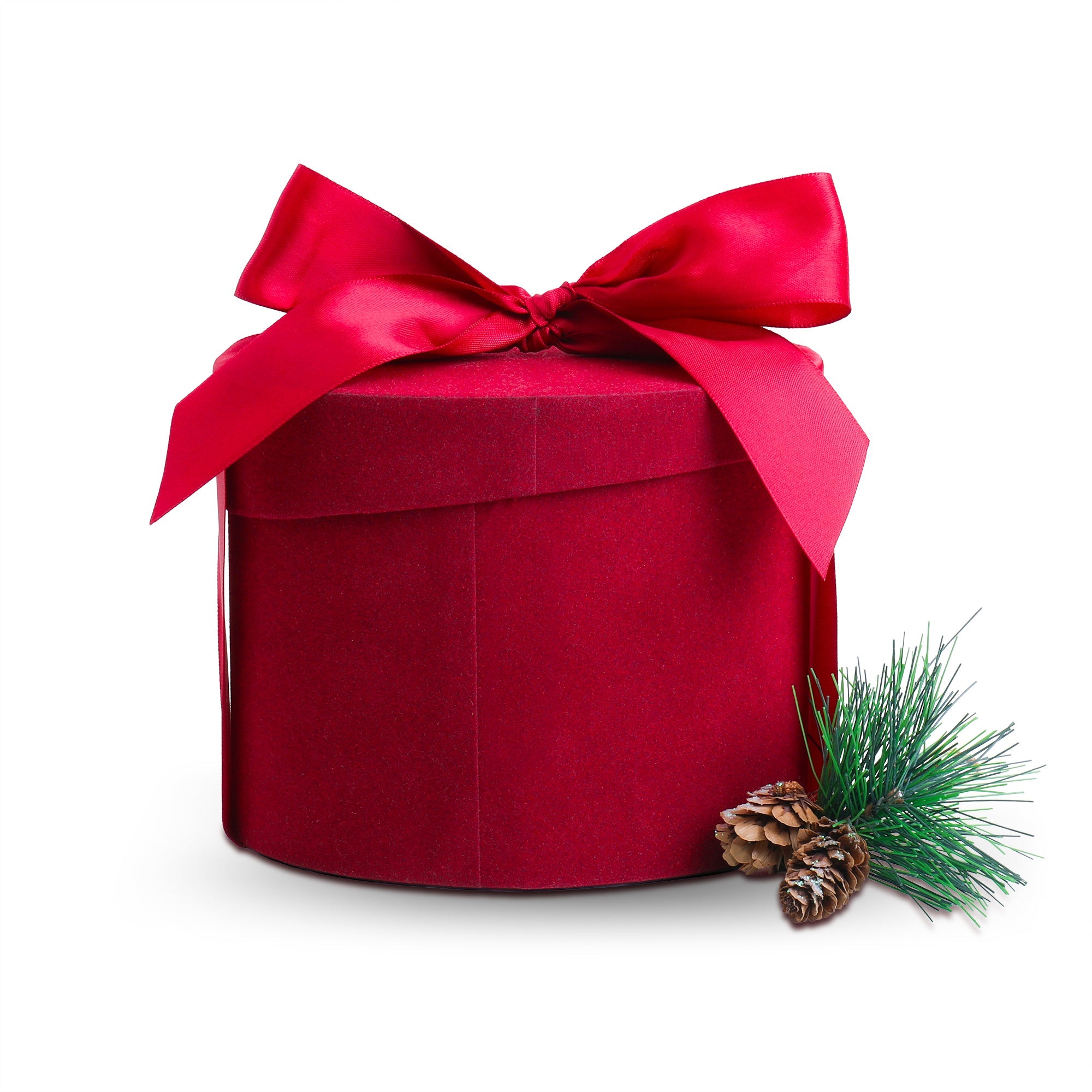 Cashews Holiday Gift Tin